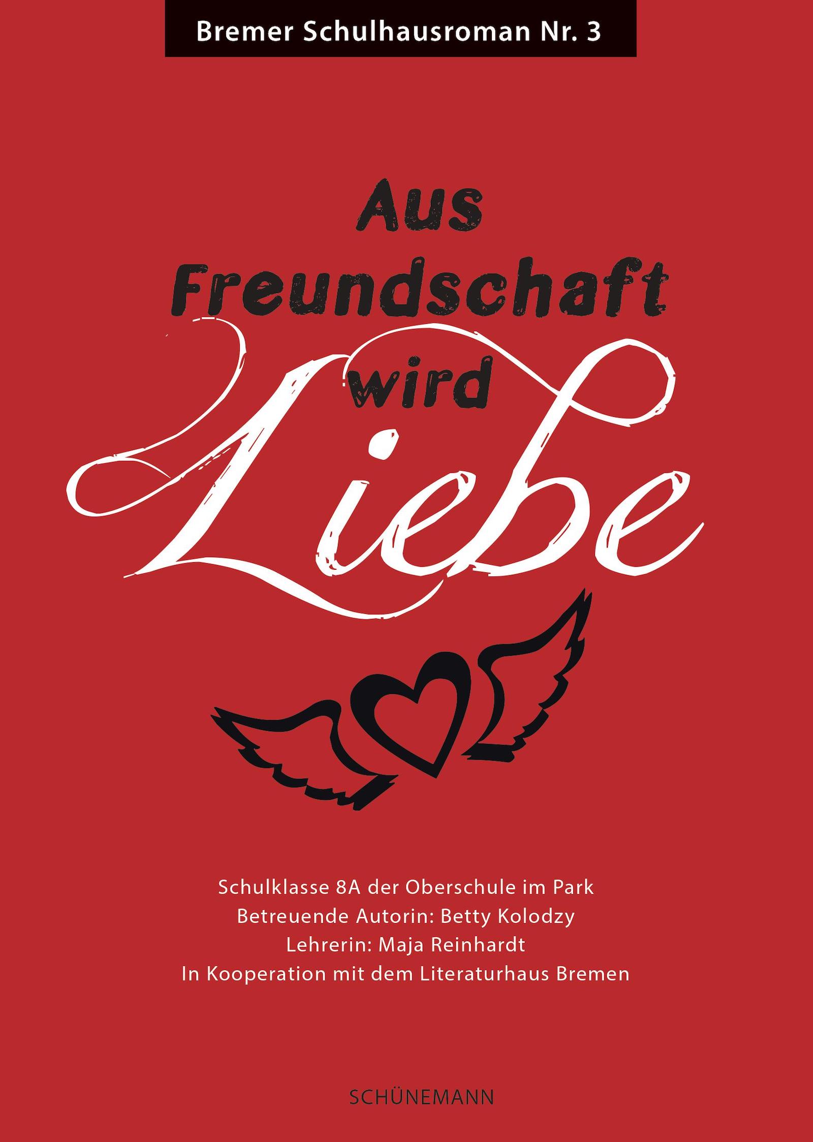 Cover des Schulhausromans "Aus Freundschaft wird Liebe"